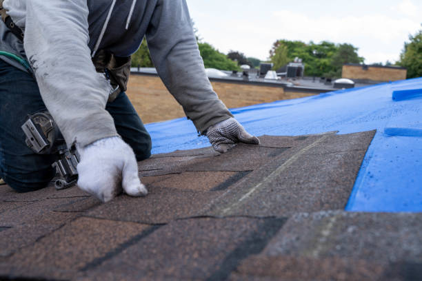 Best Tile Roofing Contractor  in Leadville North, CO