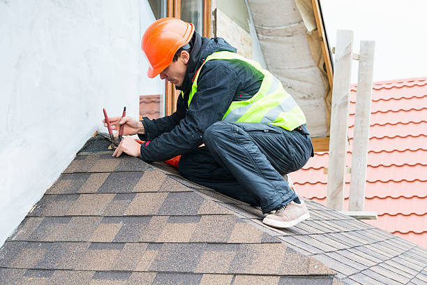 Best Metal Roofing Contractor  in Leadville North, CO